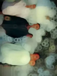 capcut template slow motion