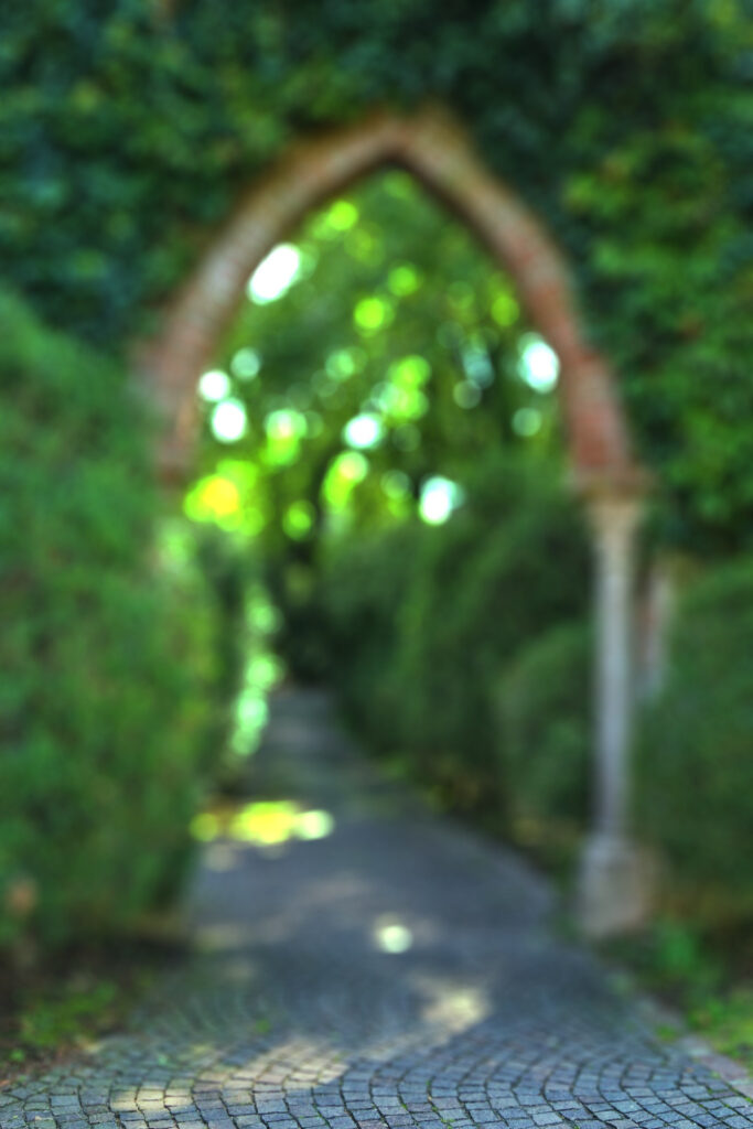 Blur Cb Background HD: Full Guide for Photo Editing Lovers