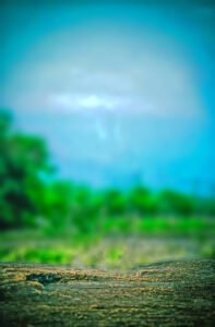 Picsart Cb Background Hd