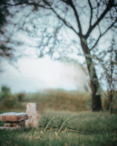 Picsart Cb Background Hd