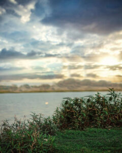 nature background hd