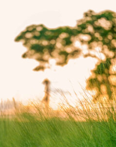 nature background hd