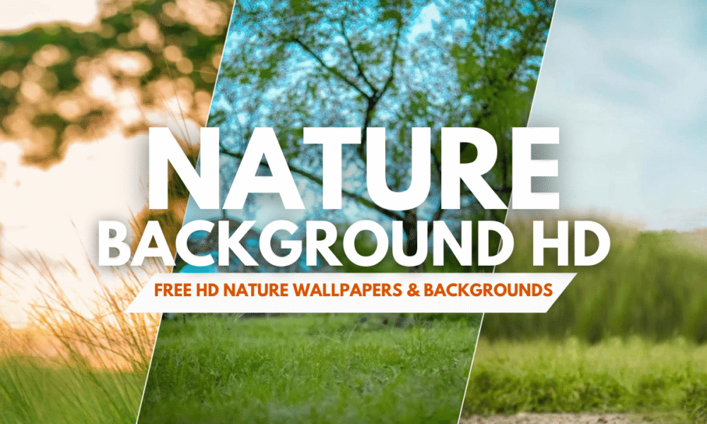 nature background hd