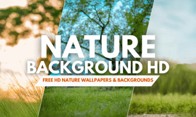 nature background hd