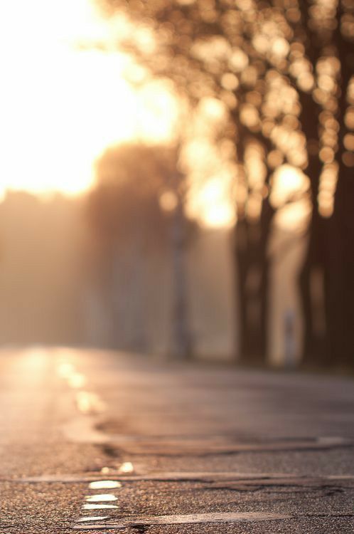 Blur Cb Background HD: Full Guide for Photo Editing Lovers